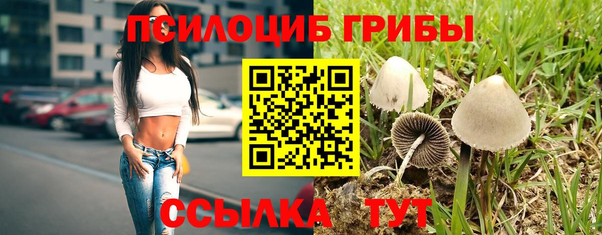 Галлюциногенные грибы мицелий Нижний Тагил