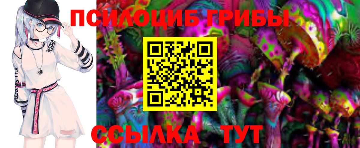 Галлюциногенные грибы MAGIC MUSHROOMS  где купить   Нижний Тагил  Вход с VPN 